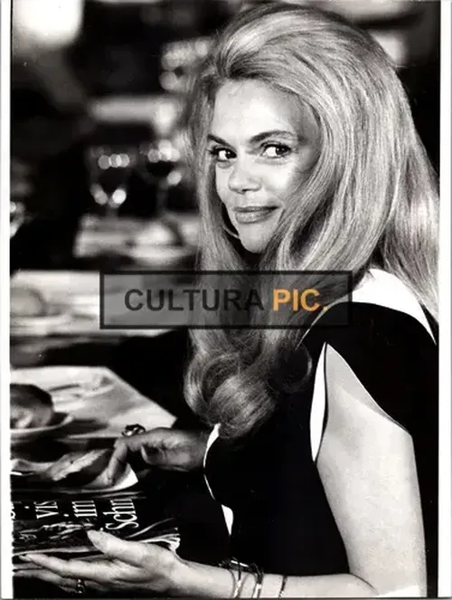 Vintage Original B&W Photo, Dyan Cannon in "The Burglars" by Henri Verneuil - 1971