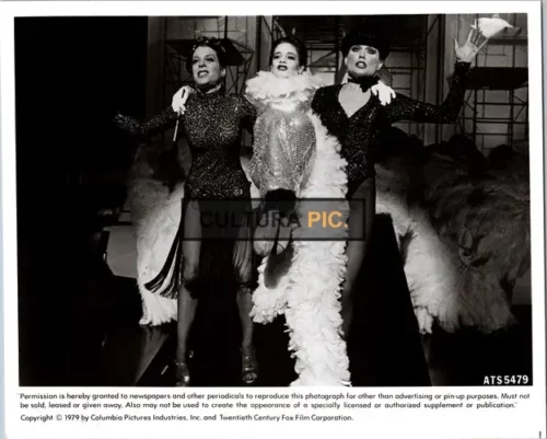Vintage Original B&W Photo,  Leland Palmer,Erzsebet Foldi and Ann Reinking in "ALL THAT JAZZ" by Bob Fosse - 1979