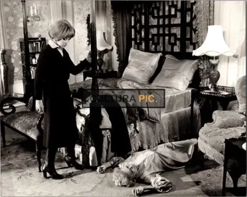 Vintage Original B&W Photo, Lee Grant as Ann Thorn and Sylvia Sidney as Aunt Marion in "Damien: Omen II" directed by Don Taylor and Mike Hodges - 1978