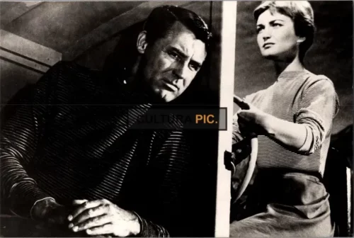 Vintage Original B&W Photo, Cary Grant and Brigitte Auber in "To Catch a Thief" Directed by Alfred Hitchcock - 1955
