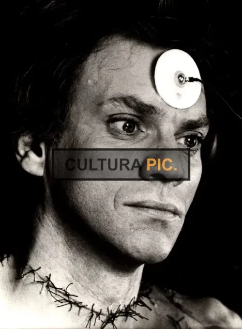 Vintage Original B&W Photo, Malcolm McDowell in "Britannia Hospital" by Lindsay Anderson - 1982