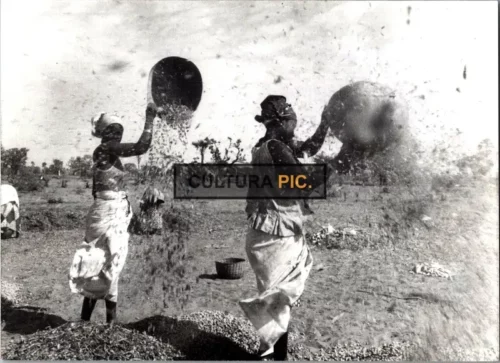 Vintage Original B&W Photo, African women in Créteil by Melissa Thackway - 1998