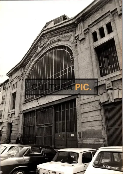 Vintage Original B&W Photo, a Performing Arts Theatre "La Criée Theatre (Théâtre de La Criée)"