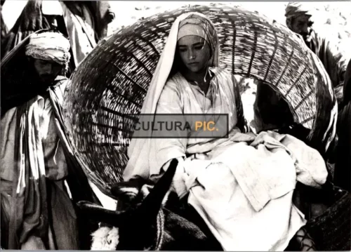 Vintage Original B&W Photo, Olivia Hussey in a TV mini series of "Jesus of Nazareth" - 1977