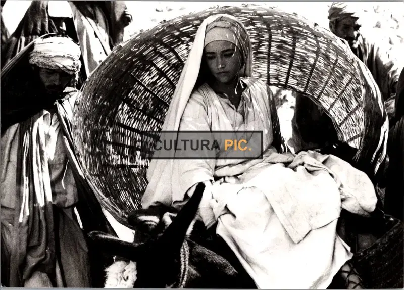 Vintage Original B&W Photo, Olivia Hussey in a TV mini series of "Jesus of Nazareth" - 1977