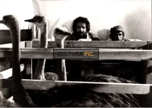 Vintage Original B&W Photo, Terence Hill and Bud Spencer in "I'm for the Hippopotamus" by Italo Zingarelli - 1979