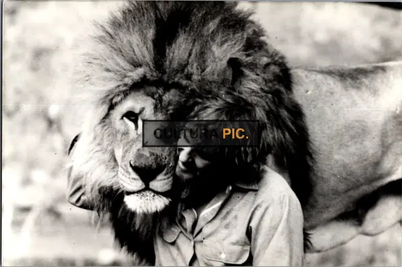 Vintage Original B&W Photo, Noel Marshall in "Roar" Directed by Noel Marshall - 1981