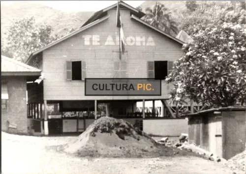 Vintage Original B&W Photo, One of The Place in New Zealand Called "Te Aroha"