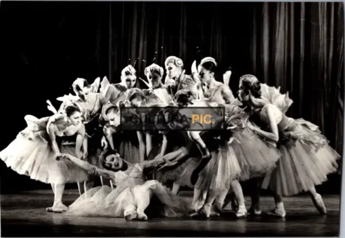 Vintage Original B&W Photo, the New York City Ballet Performing The Nutcracker In 1962