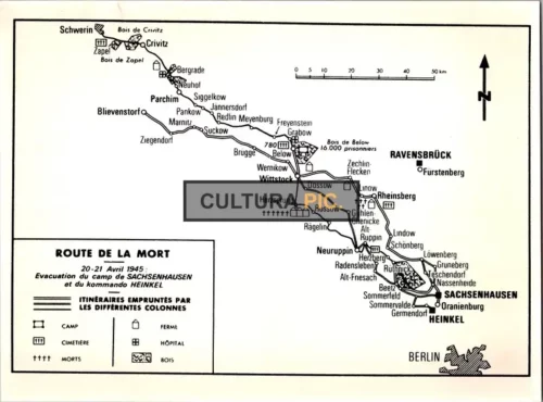 Vintage Original B&W Photo, Route De La Mort, Evacuation Camp 1945