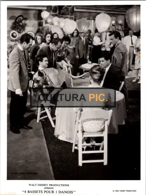 Vintage Original B&W Photo, The Film by Walt Disney Productions "The Ugly Dachshund" Directed by: Norman Tokar - 1966