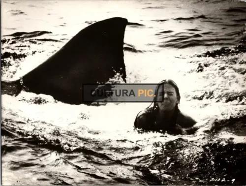 Vintage Original B&W Photo, Cindy Grover in "Jaws 2" by Jeannot Szwarc - 1978