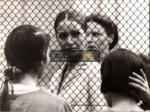 Vintage Original B&W Photo, Françoise Fabian in The Movie "Down the Ancient Stairs, Original title: Per le antiche scale"  Directed by: Mauro Bolognini - 1975