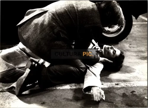 Vintage Original B&W Photo, Fanny Ardant and Gérard Depardieu in "The Woman Next Door" by François Truffaut - 1981