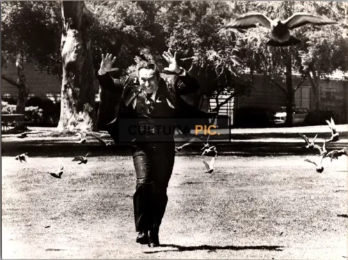 Vintage Original B&W Photo, Mel Brooks in "High Anxiety" by Mel Brooks - 1977