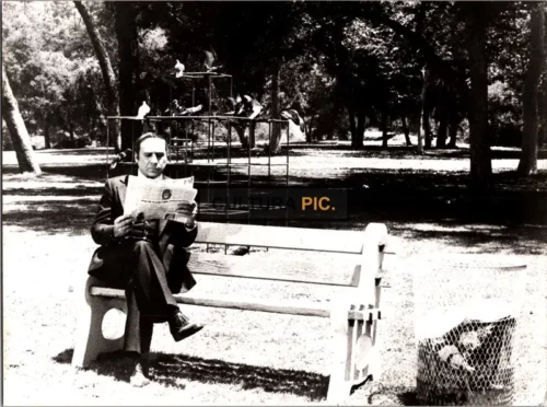 Vintage Original B&W Photo, Mel Brooks in "High Anxiety" by Mel Brooks - 1977