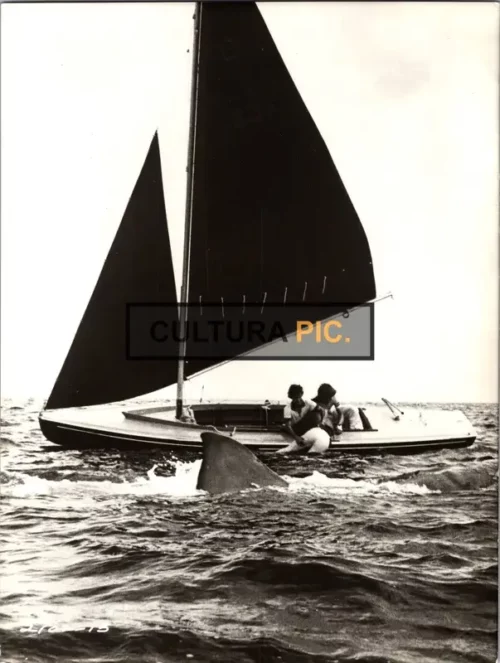 Vintage Original B&W Photo, John Dukakis, G. Thomas Dunlop, and Mark Gruner in "Jaws 2" by Jeannot Szwarc - 1978