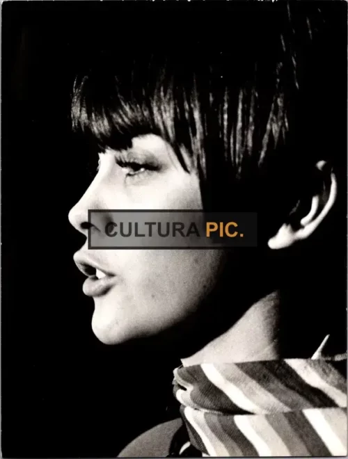 Vintage Original B&W Photo, Mireille Mathieu Photo Album - 1969