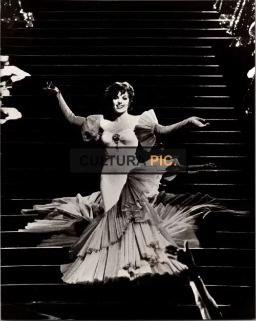 Vintage Original B&W Photo, Liza Minnelli in "New York, New York" by Martin Scorsese - 1977