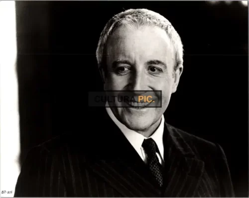 Vintage Original B&W Photo, Peter Sellers  in "being There" by Hal Ashby - 1979