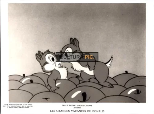 Vintage Original B&W Photo, Chip and Dale the Chipmunks in "Donald Duck's Summer Magic" by Walt Disney - 1977