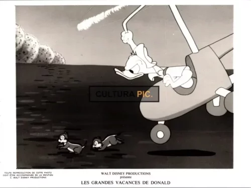 Vintage Original B&W Photo, Donald Duck in "Donald Duck's Summer Magic" by Walt Disney - 1977