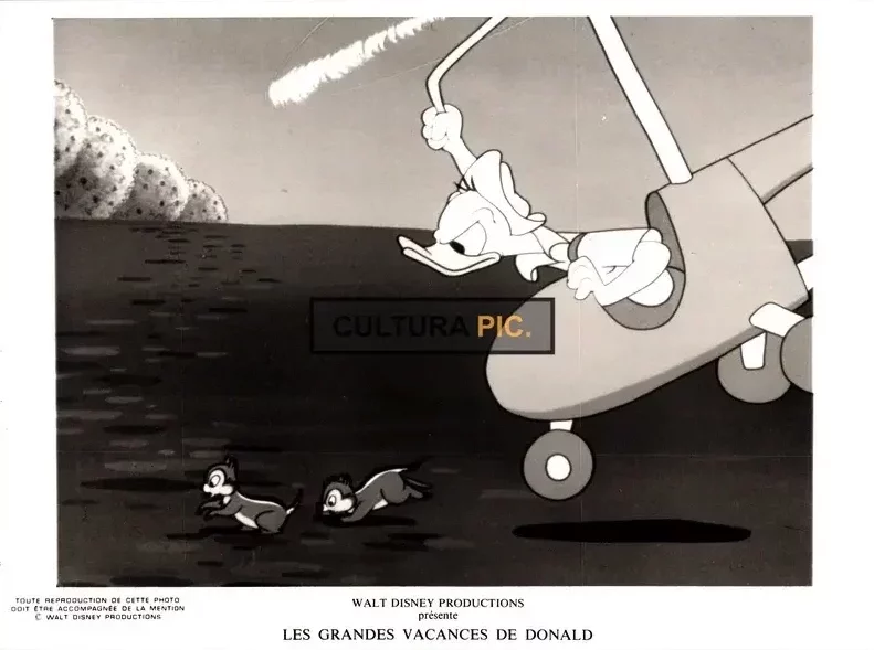 Vintage Original B&W Photo, Donald Duck in "Donald Duck's Summer Magic" by Walt Disney - 1977