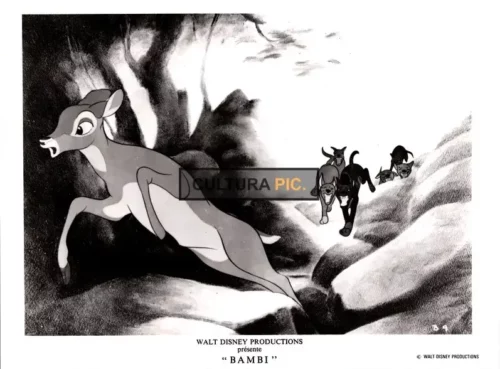 Vintage Original B&W Photo, Faline in "Bambie" by Walt Disney - 1942