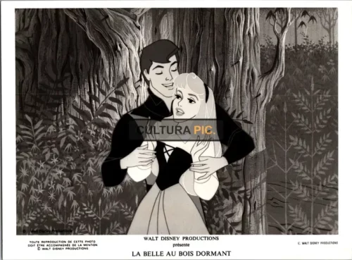 Vintage Original B&W Photo, a Disney Movie "Sleeping Beauty" Directed by: Les Clark, Clyde Geronimi and Eric Larson -1959