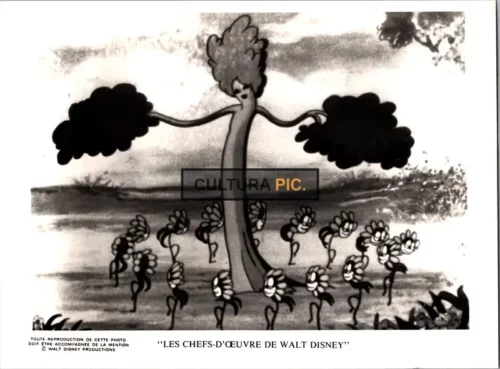 Vintage Original B&W Photo, the Film "Flowers and Trees" by Burt Gillett - 1932