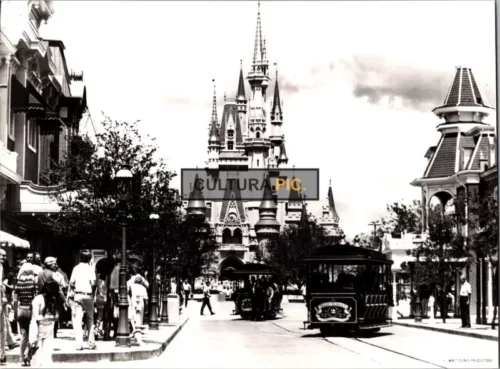 Vintage Original B&W Photo, Walt Disney World Resort in Orlando, Florida - 1972
