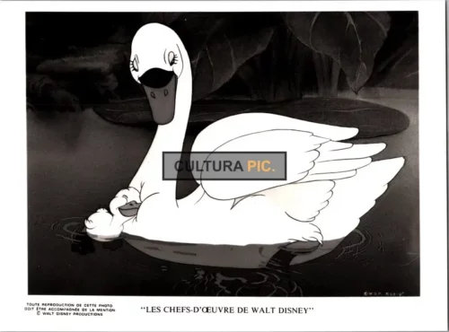 Vintage Original B&W Photo, a Walt Disney Film "The Ugly Duckling" Directed by: Lola Mung, Clarence Nash and Jammity Natton - 1939