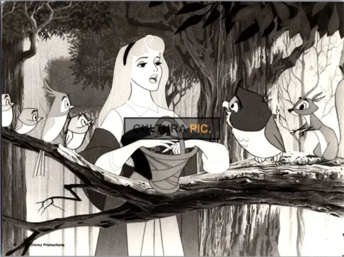Vintage Original B&W Photo, Mary Costa as Aurora in "Sleeping Beauty" by Walt Disney - 1959