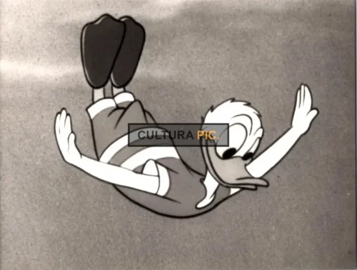 Vintage Original B&W Photo, Donald Duck in "Donald Duck's Trailer Horn" by Jack Hannah - 1950