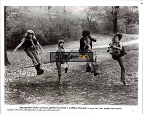 Vintage Original B&W Photo, Treat Williams, Don Dacus, Annie Golden, and Dorsey Wright in "Hair" by Milos Forman - 1979