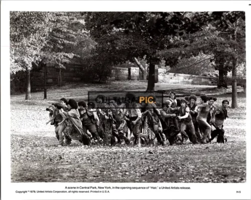 Vintage Original B&W Photo, a Scene in "Hair" by Milos Forman - 1979
