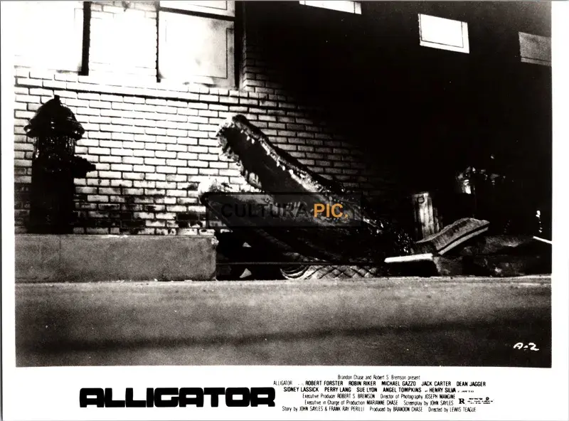 Vintage Original B&W Photo, a Scene in "Alligator" by Lewis Teague - 1980