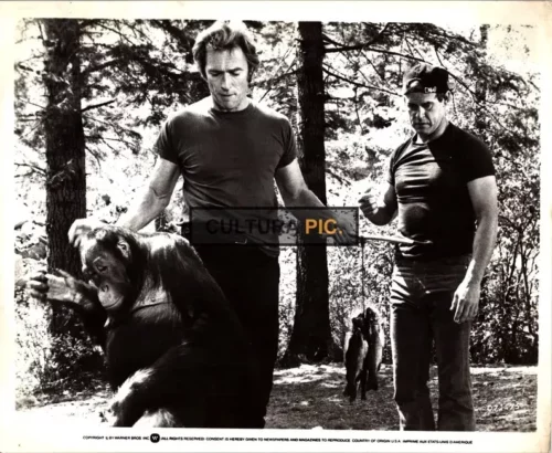 Vintage Original B&W Photo, Clint Eastwood, Geoffrey Lewis and Manis the Orangutan in "Every Which Way But Loose" by James Fargo - 1978