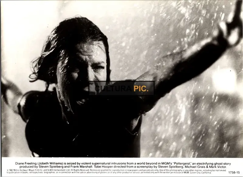 Vintage Original B&W Photo, JoBeth Williams in "Poltergeist" by Tobe Hooper - 1982