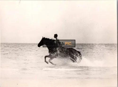 Vintage Original B&W Photo, Kelly Reno in "The Black Stallion" by Carroll Ballard - 1979