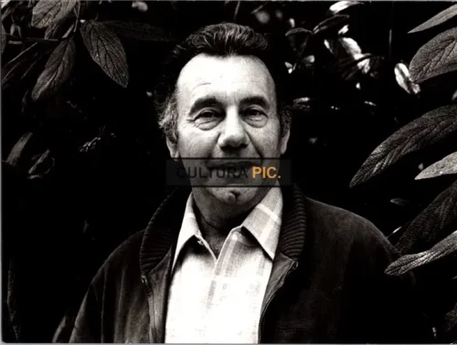 Vintage Original B&W Photo, a French Musical Composer Named Michael Legrand - 1954