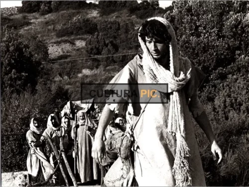 Vintage Original B&W Photo, the Scene in The Film "Walking, walking" Original title: Cammina, Cammina Directed by: Ermanno Olmi - 1983