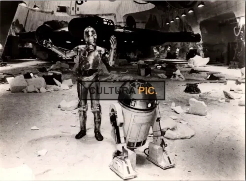 Vintage Original B&W Photo, Robot R2-D2 and C-3PO in "Star Wars: Episode V - The Empire Strikes Back" by  Irvin Kershner - 1980