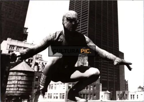 Vintage Original B&W Photo, Nicholas Hammond in "The Amazing Spider-Man" TV Series - 1977