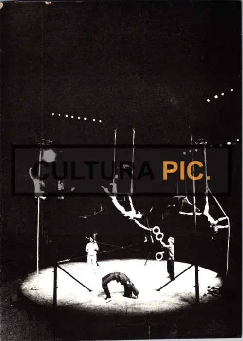 Vintage Original B&W Photo, The Performers on "The Troubadours" by Robert Arnaut - 1976