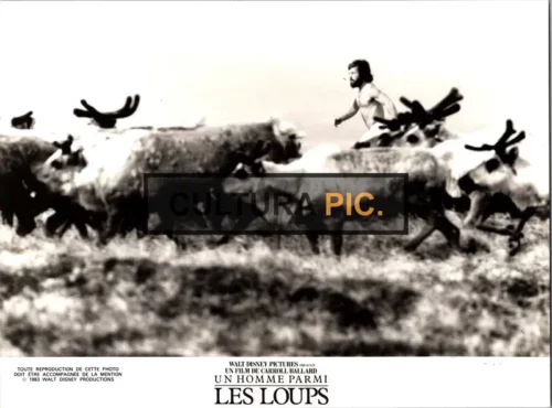Vintage Original B&W Photo, Charles Martin Smith in "Never Cry Wolf" by Carroll Ballard - 1983