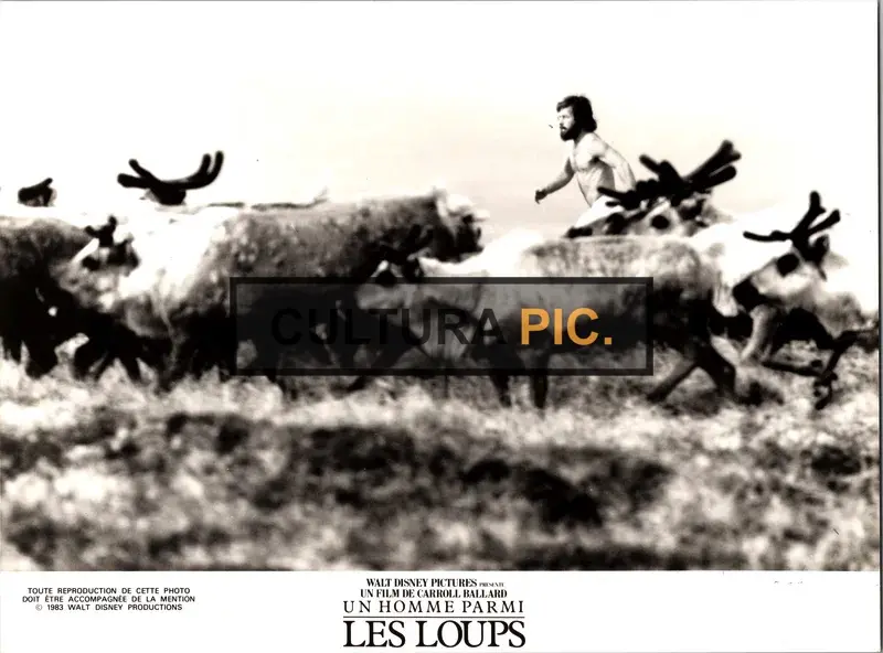 Vintage Original B&W Photo, Charles Martin Smith in "Never Cry Wolf" by Carroll Ballard - 1983