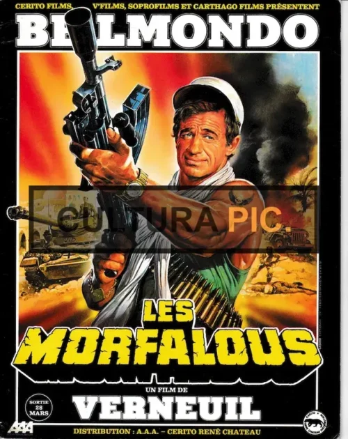 Synopsis Catalogue of the Film "Les morfalous" by Henri Verneuil - 1984