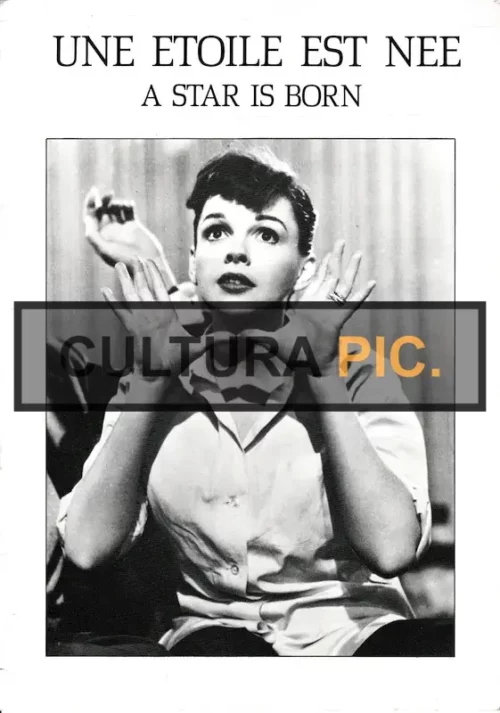 Synopsis of the Film "A Star Is Born" by George Cukor - 1954