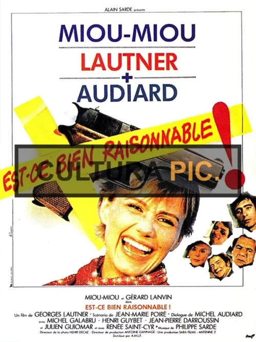 Cinema Poster of the Film "Est-ce bien raisonnable?" by Georges Lautner - 1981